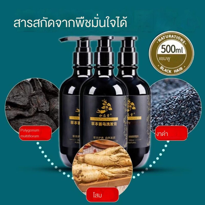 Shampoo 500ml, an Invention to Prevent Hair Loss, Adds Polygonum Multiflorum