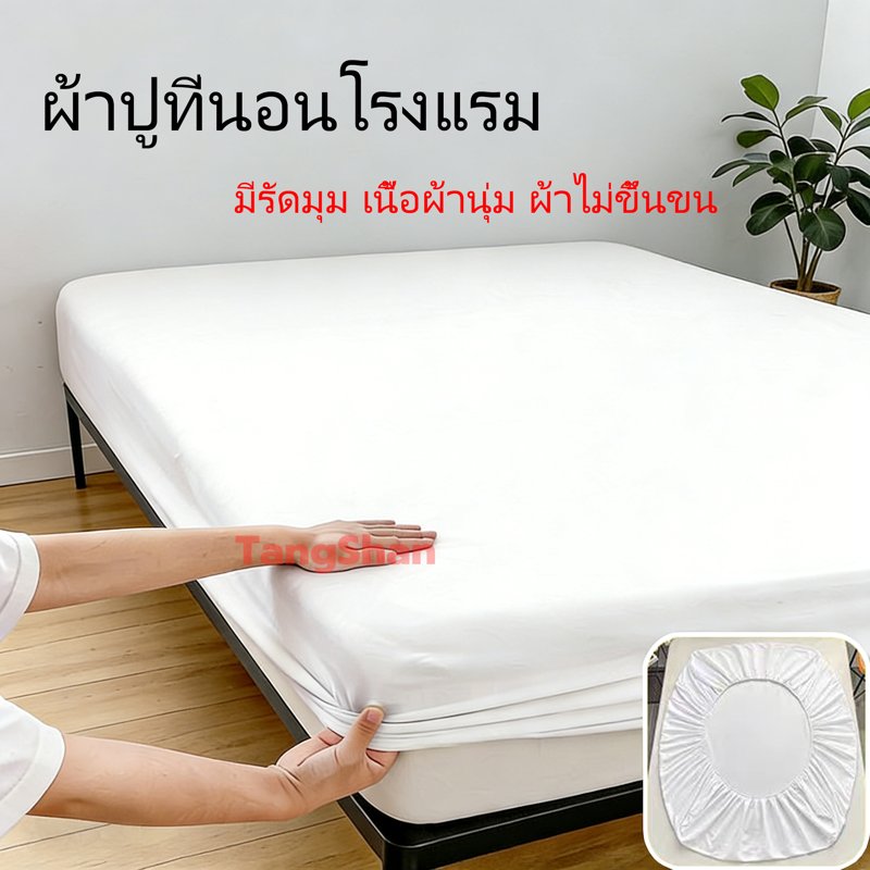 Hotel Bed Sheets, Cotton, Dust Mite Resist