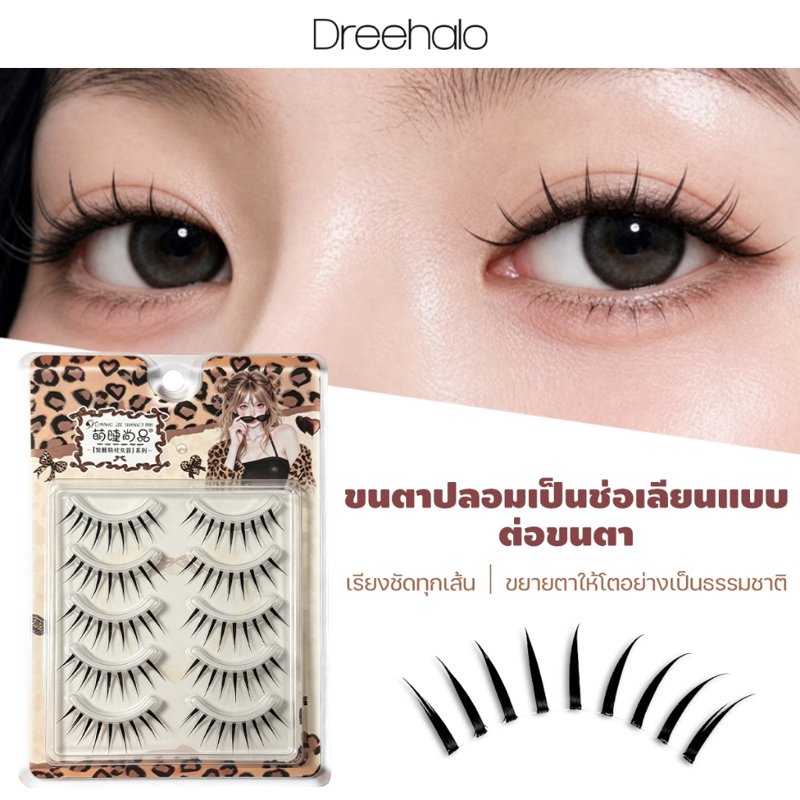 Dreehalo ขนตาปลอมเกาหลี แกนใส F324
