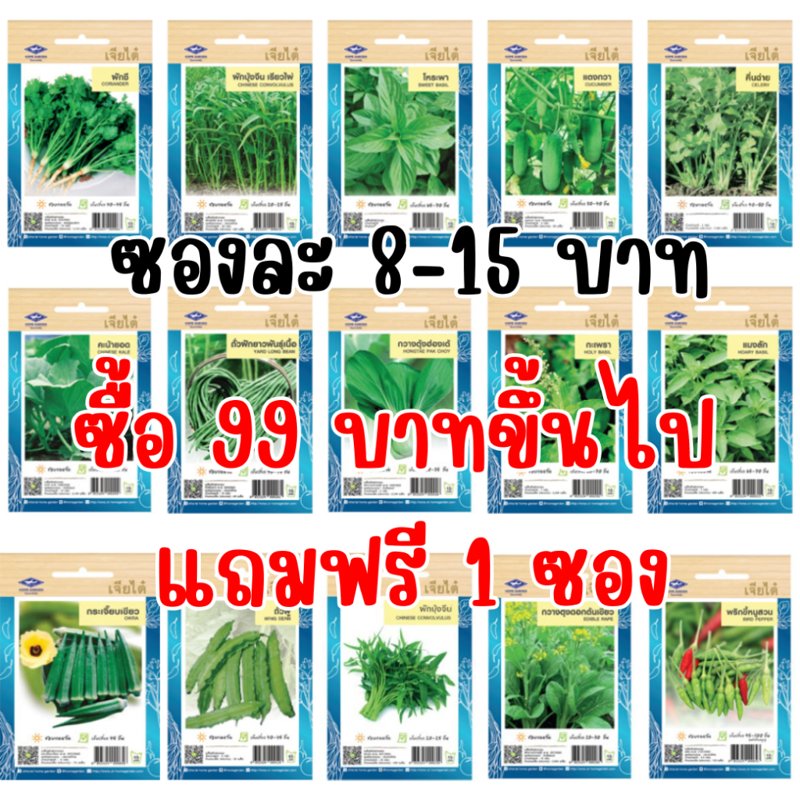 เมล็ดผักเจียไต๋ OP ซองละ 8–15 บาท
