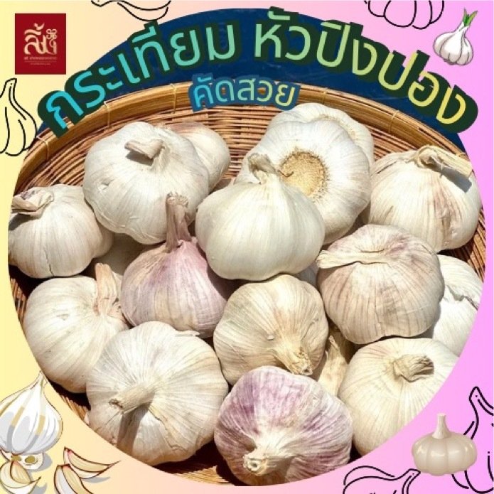 กระเทียมปิงปอง คัดพิเศษ กลีบใหญ่