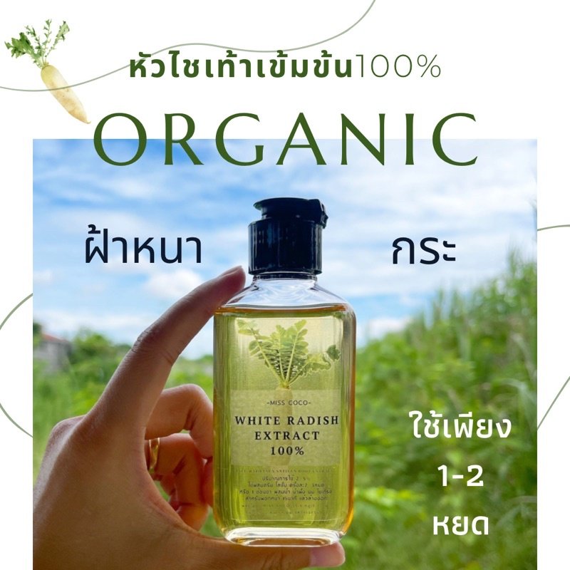 หัวไชเท้าออร์แกนิคสกัดเย็น 100% เช็ดฝ้าก่อนทาครีม